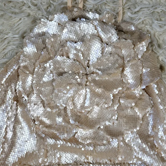 Lovers and friends X Rachel Lilium Gown Maxi Dress Size Small